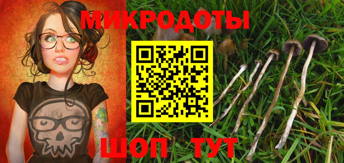 Галлюциногенные грибы Psilocybe Сосновоборск