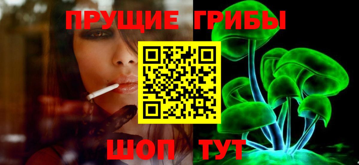 Сосновоборск  купить  цена  Вход с VPN  Псилоцибиновые грибы MAGIC MUSHROOMS 